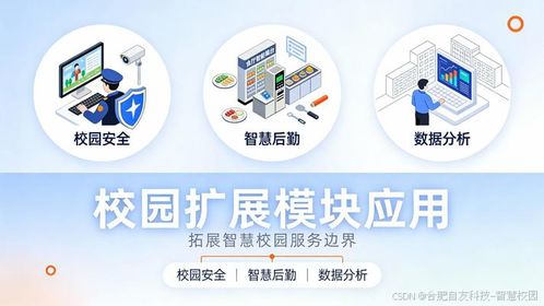 智慧校園建設(shè)模式深度分析 自研、外包與合作開(kāi)發(fā)的選擇智慧