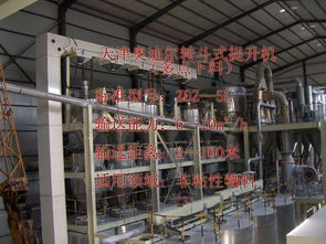 Z型提升機(jī)價(jià)格、廠家、圖片與選購(gòu)技術(shù)要點(diǎn)解析
