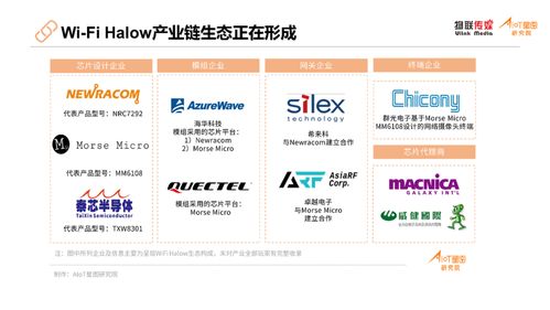 百家企業(yè)逐鹿Wi-Fi賽道 市場(chǎng)格局解析與經(jīng)營(yíng)策略前瞻