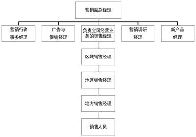 市場(chǎng)營(yíng)銷策劃實(shí)操指導(dǎo)手冊(cè) 從戰(zhàn)略到執(zhí)行的全流程解析